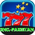 Pak Vip Game King Pakistan